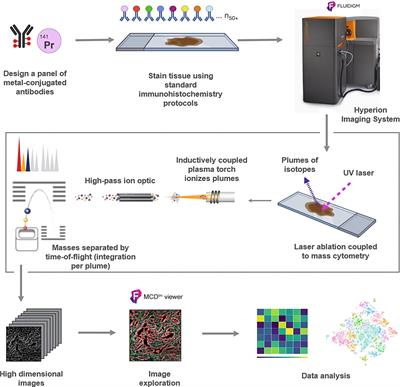 Application of High-Throughput Imaging Mass Cytometry Hyperion in Cancer Research